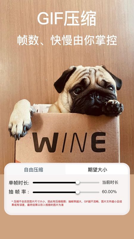 ImgMeta图片压缩专家_图片4
