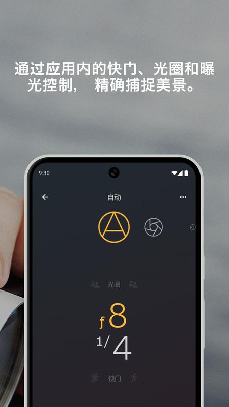 宝丽来_图片2