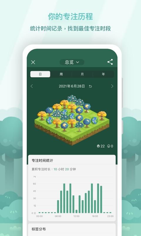 Forest_图片2