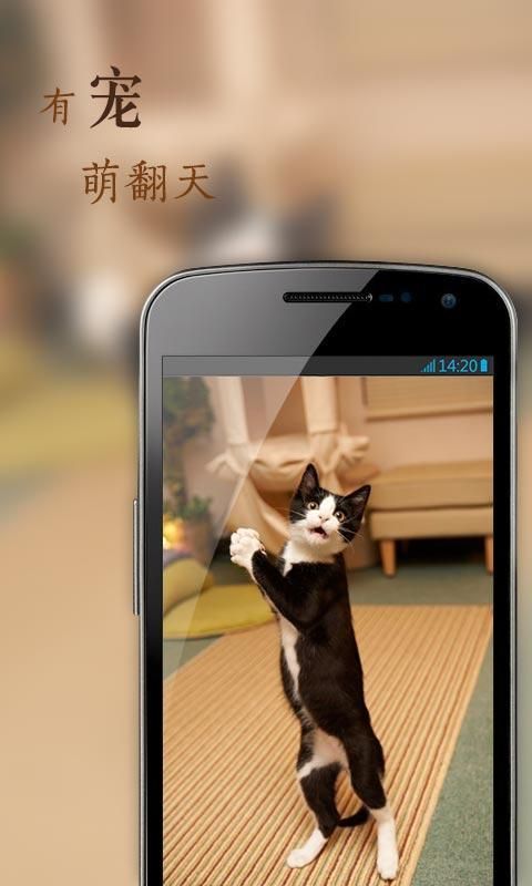 花瓣_图片4
