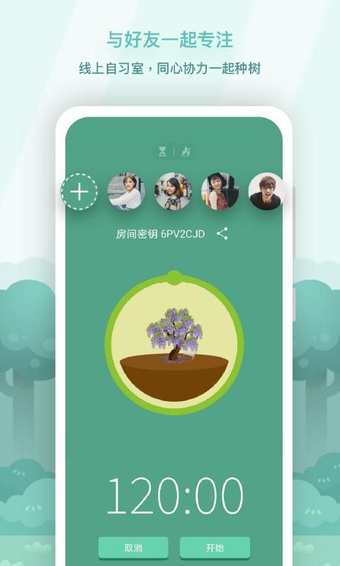 Forest_图片4