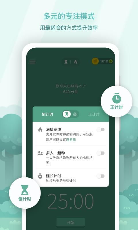 Forest_图片3