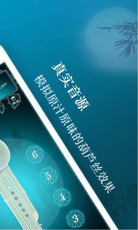 葫芦丝_图片2
