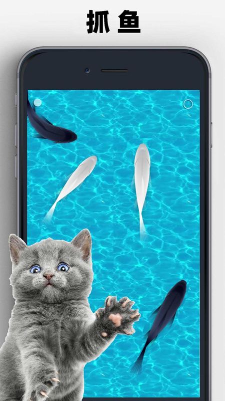 猫狗玩具模拟器_图片2