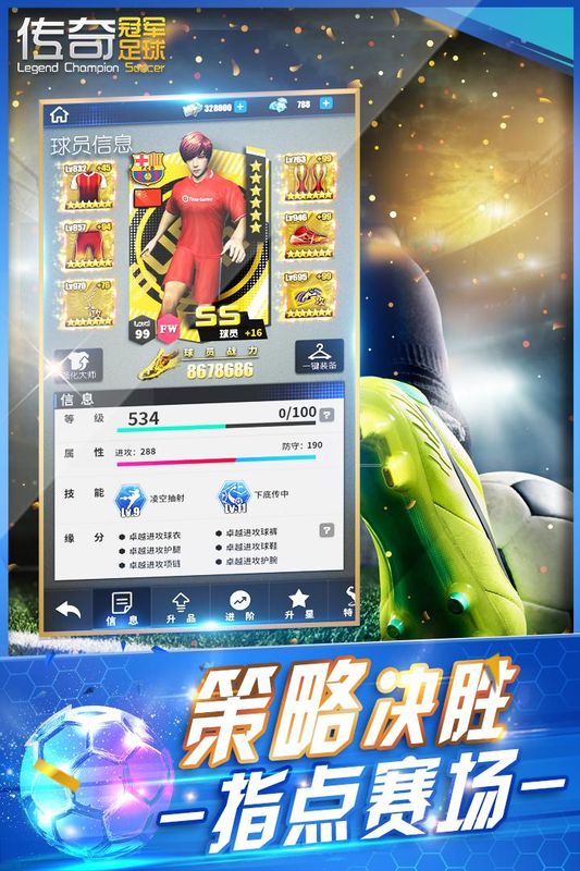 传奇冠军足球_图片1