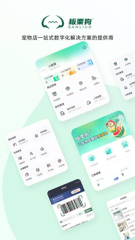 板栗狗_图片1