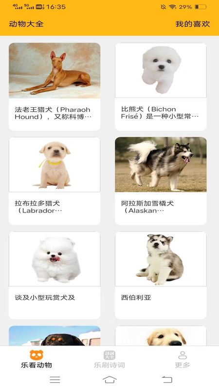 乐看刷刷_图片1
