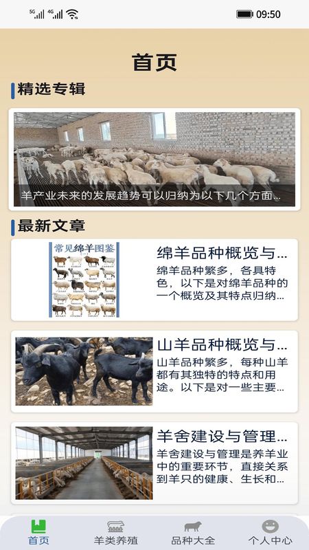 羊鸣利万_图片2