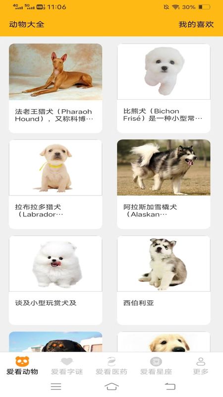 全民爱看_图片2