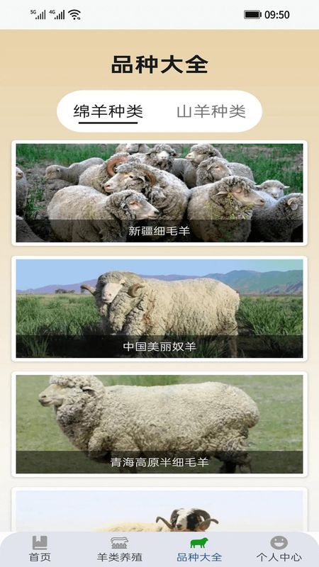 羊鸣利万_图片1