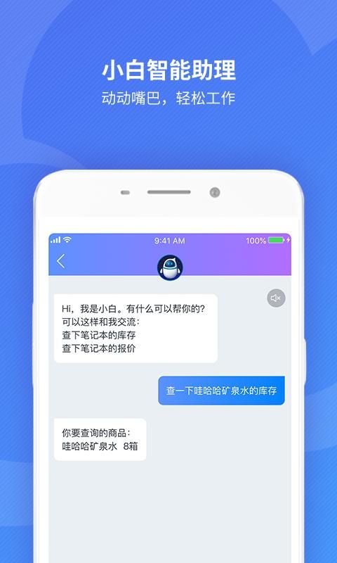 金蝶精斗云标准版_图片4
