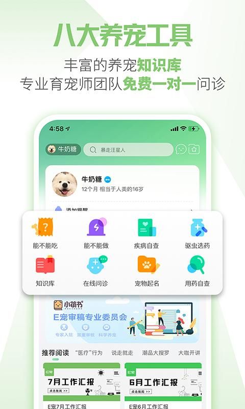 E宠_图片4