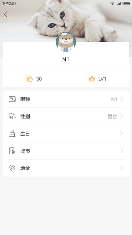 Catlink_图片3