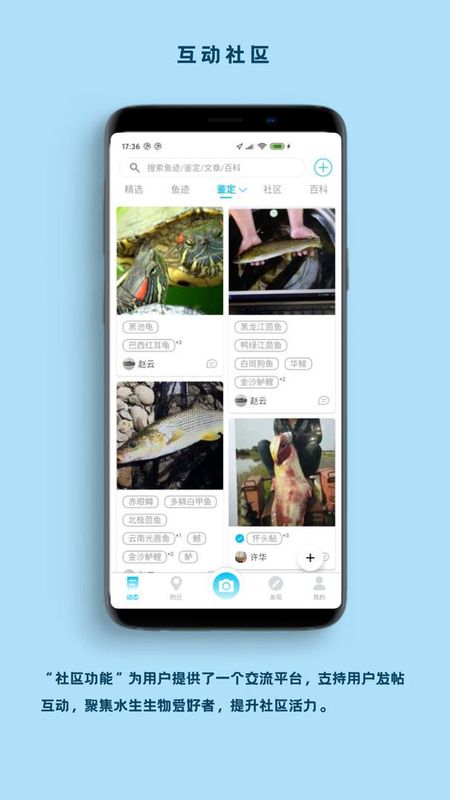 看鱼_图片4