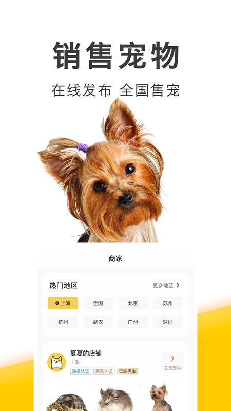 买只宠物_图片4