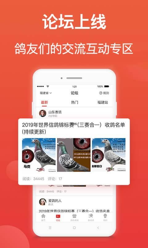 赛鸽头条_图片2