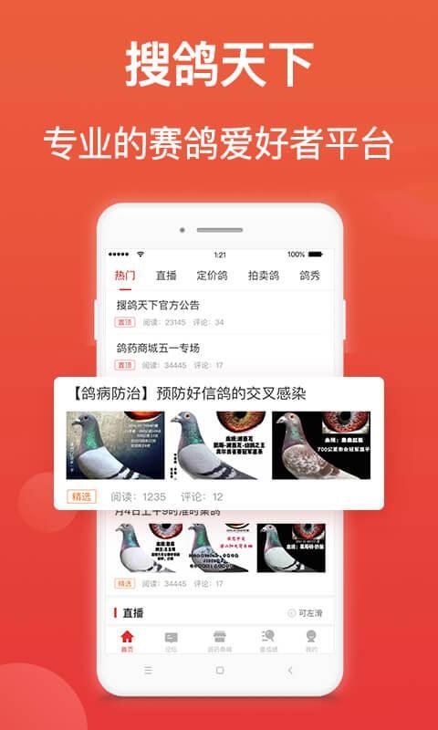 赛鸽头条_图片1