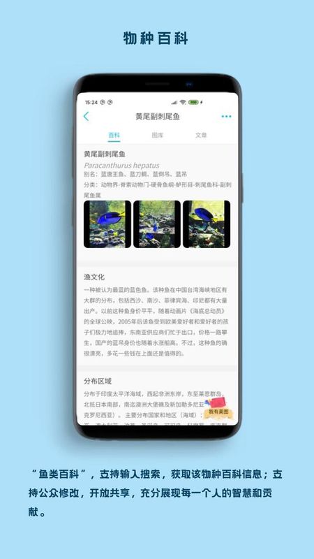 看鱼_图片3