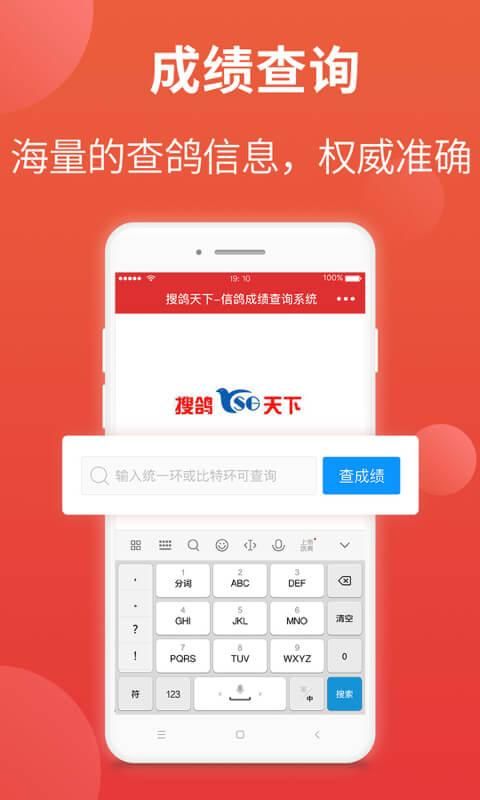 赛鸽头条_图片4
