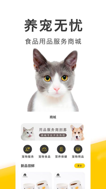 买只宠物_图片3