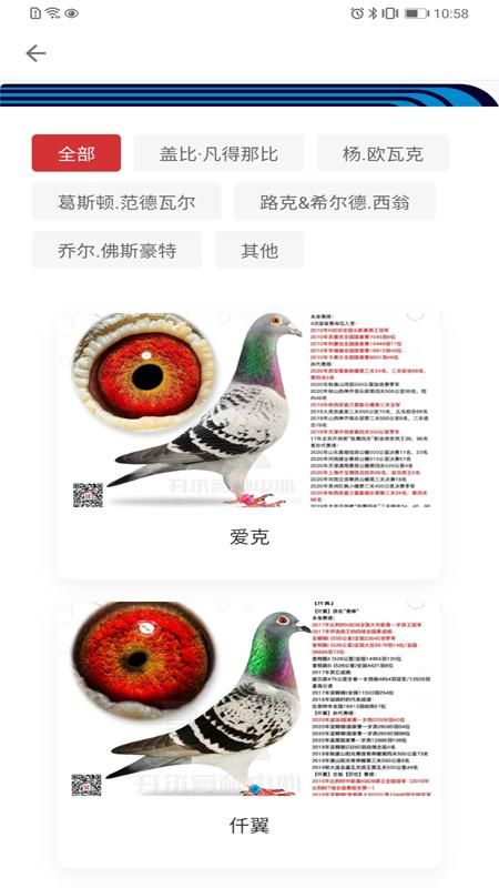 邢小信_图片3