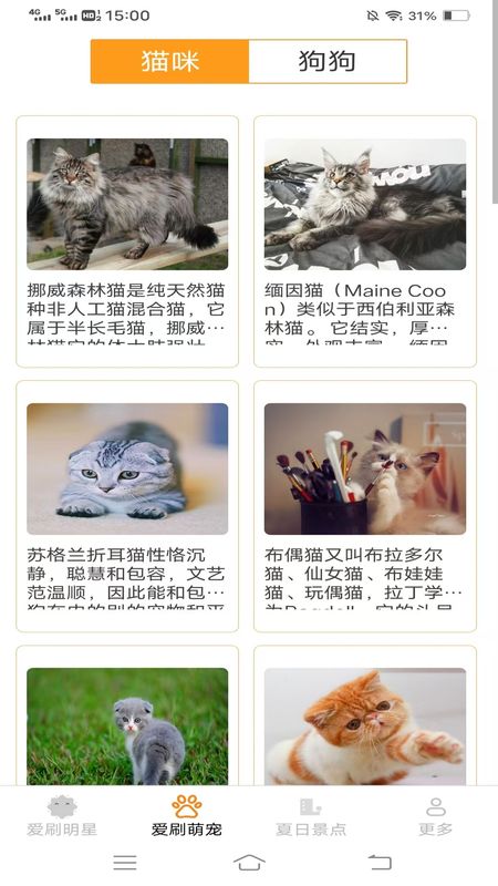 夏日爱刷_图片2