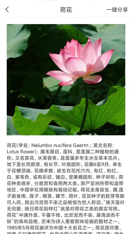 拍照识物全能王_图片3