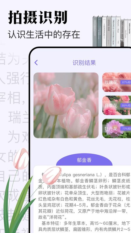 米禾_图片3