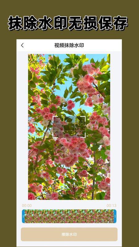 去水印大师_图片2