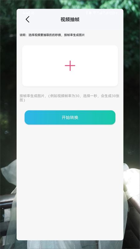 青青草_图片3