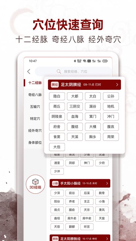 中医经络穴位_图片5