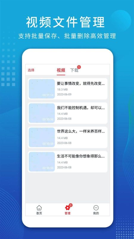视频解析大师_图片3