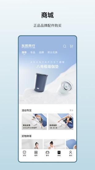 东风风行_图片2
