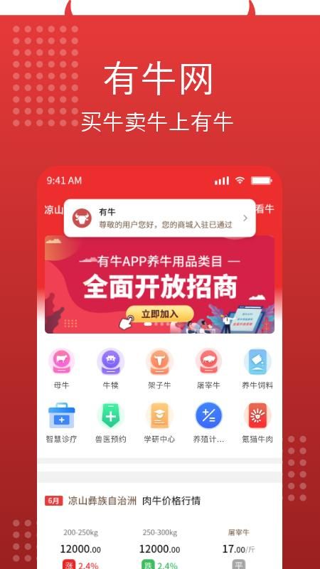 有牛_图片1