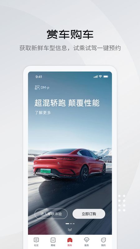 比亚迪王朝_图片1