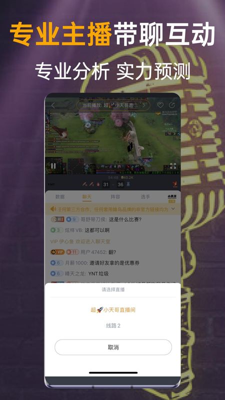 蜂鸟竞技_图片4