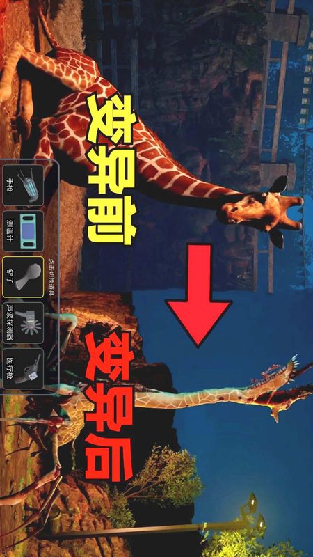 癫狂的动物园_图片3