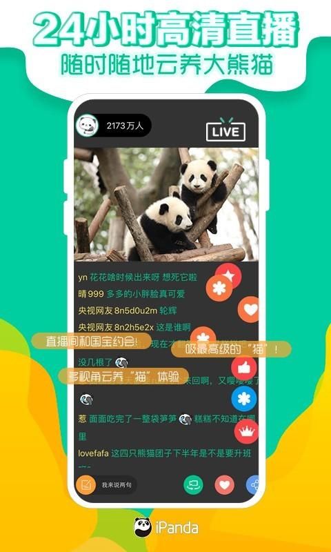 熊猫频道_图片1
