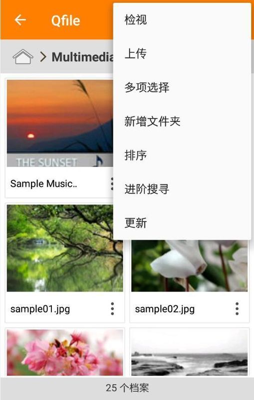 Qfile Pro_图片3