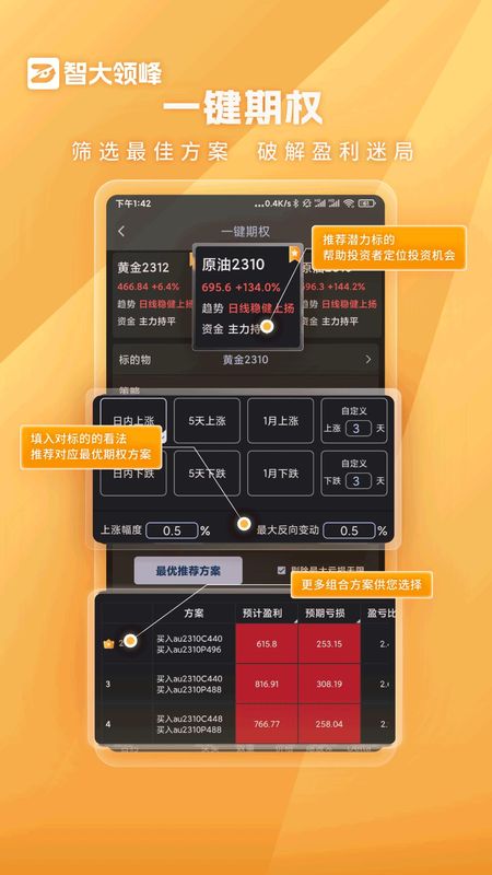 智大领峰_图片4