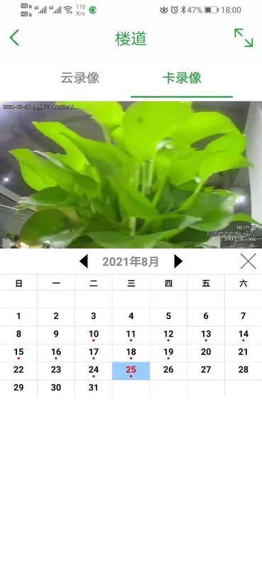 Seetong_图片4