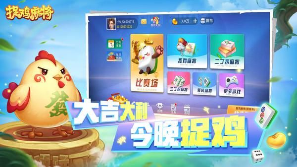 捉鸡麻将_图片1