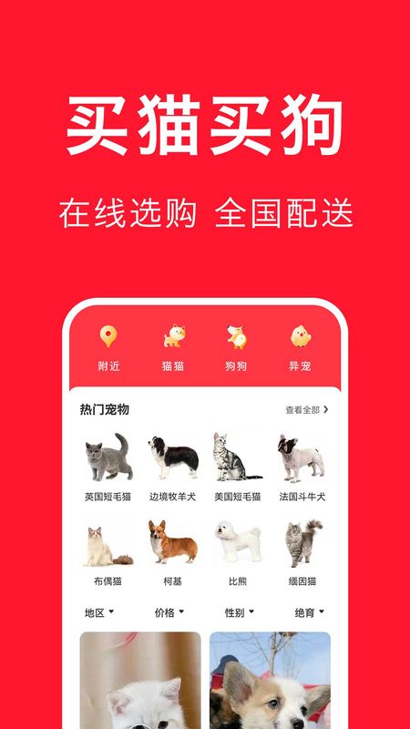 宠物宝_图片1