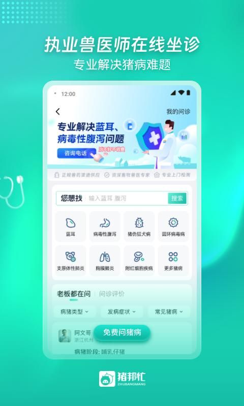 猪邦忙_图片1