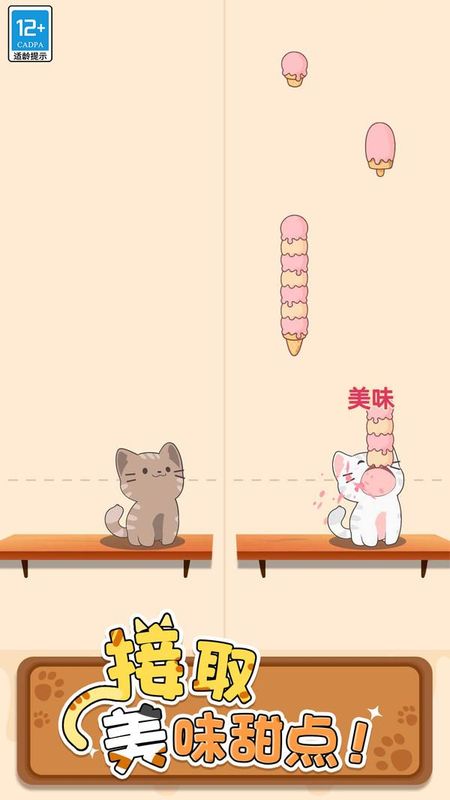 猫咪二重奏_图片2