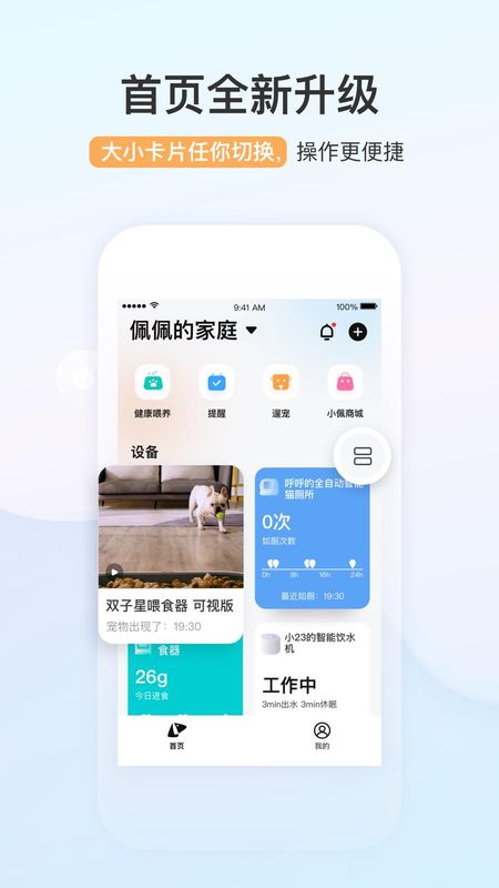 小佩宠物_图片3