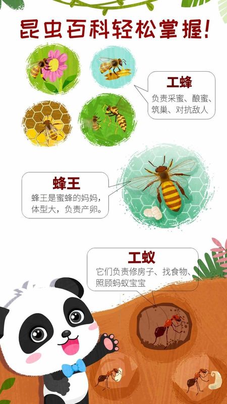 奇妙昆虫世界_图片4