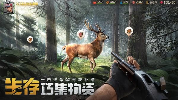 荒野迷城_图片5