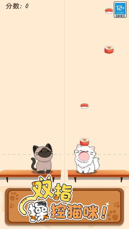 猫咪二重奏_图片1
