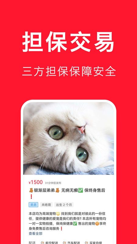 宠物宝_图片2